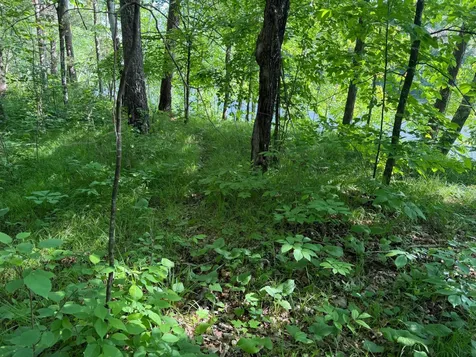 Tbd 270th Street Sebeka MN 56477