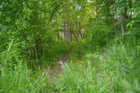 Tbdx Chippewa Heights NW Brandon MN 56315