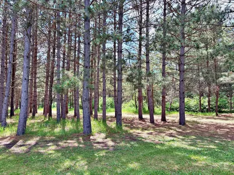 37215 Pine Cone Drive Menahga MN 56464
