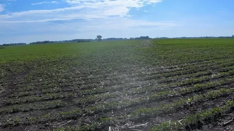 Tbd Highway 218 Owatonna MN 55060