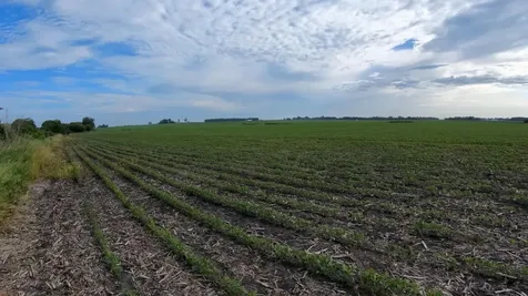 Tbd Highway 218 Owatonna MN 55060