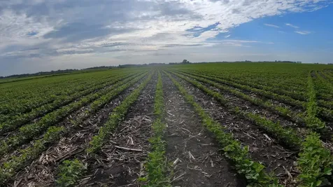 Tbd Highway 218 Owatonna MN 55060