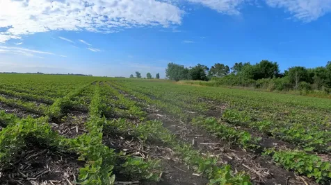 Tbd Highway 218 Owatonna MN 55060