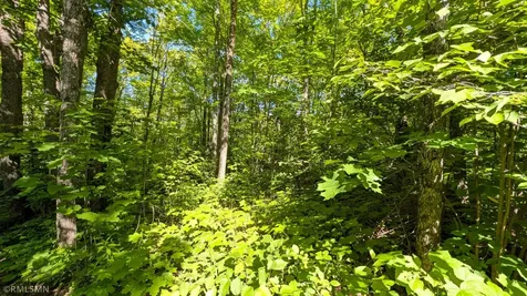 5030 Mount Rockwood Road Silver Bay MN 55614