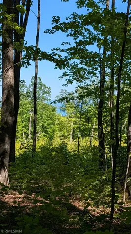 5030 Mount Rockwood Road Silver Bay MN 55614