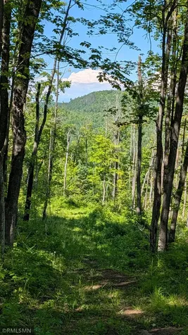 5030 Mount Rockwood Road Silver Bay MN 55614