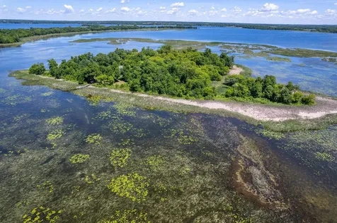 37598 2nd Star Isle Dent MN 56528