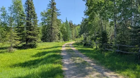 7079 Pike River Drive Embarrass MN 55732