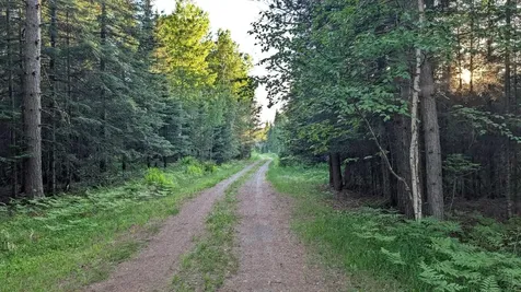 7079 Pike River Drive Embarrass MN 55732