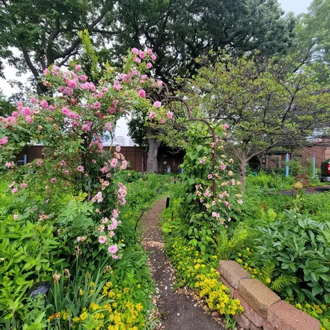 326 E 18th Street Minneapolis MN 55404