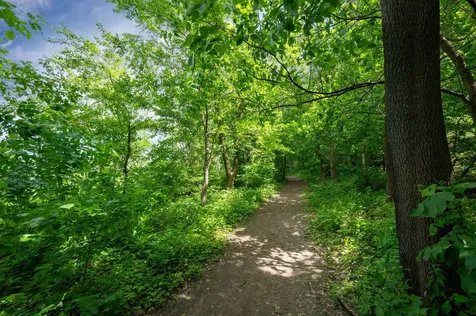 2015 Upton Avenue S Minneapolis MN 55405