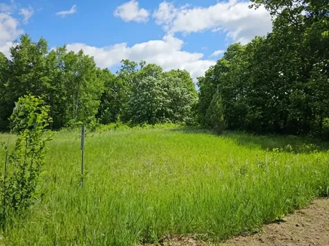 28854 Peppin Drive Browerville MN 56438