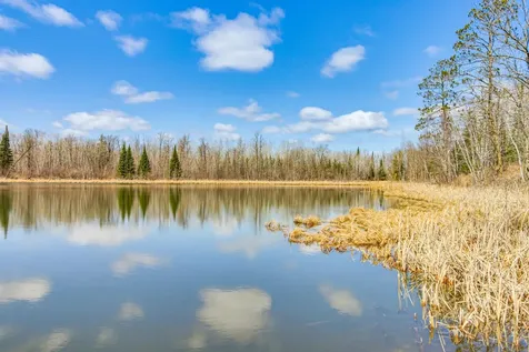 6242 Hendricks Haven Road NE Tenstrike MN 56683