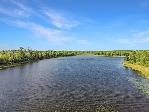 6242 Hendricks Haven Road NE Tenstrike MN 56683