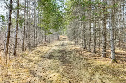 6242 Hendricks Haven Road NE Tenstrike MN 56683