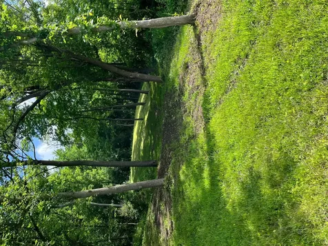 15315 County Road 25 Rollingstone MN 55969