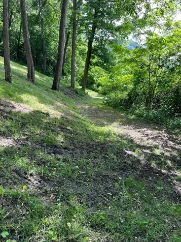 15315 County Road 25 Rollingstone MN 55969