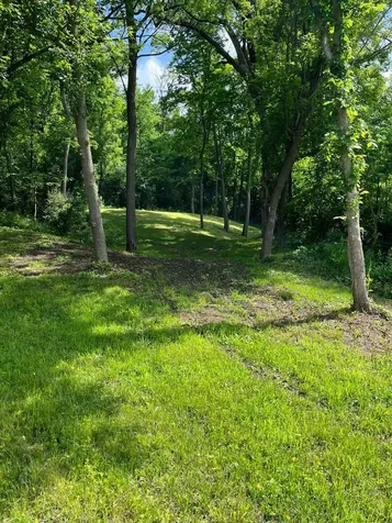 15315 County Road 25 Rollingstone MN 55969