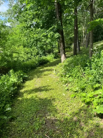 15315 County Road 25 Rollingstone MN 55969