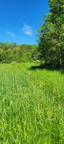 1634 Town Road 117 Baudette MN 56623