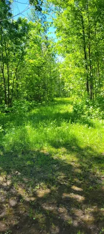 1634 Town Road 117 Baudette MN 56623