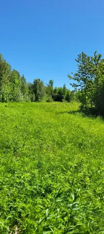 1634 Town Road 117 Baudette MN 56623