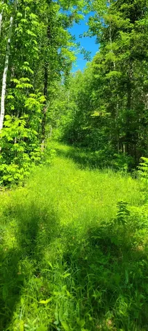 1634 Town Road 117 Baudette MN 56623