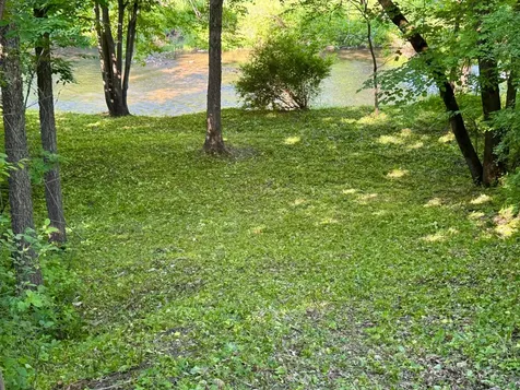 11655 Castle Bluff Lane SW Stewartville MN 55976