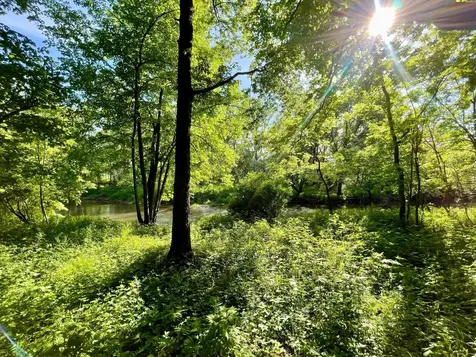 11655 Castle Bluff Lane SW Stewartville MN 55976