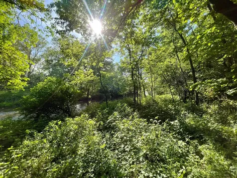 11655 Castle Bluff Lane SW Stewartville MN 55976