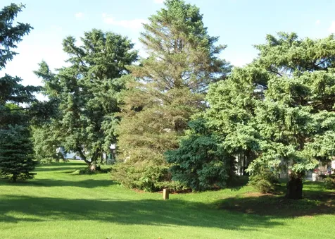 912 3rd Street N Cold Spring MN 56320