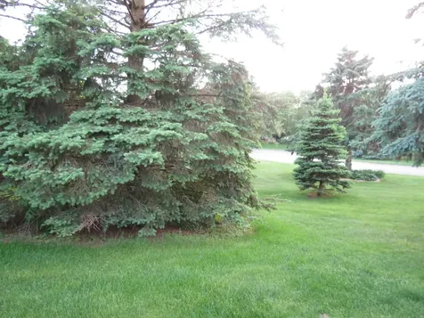 912 3rd Street N Cold Spring MN 56320