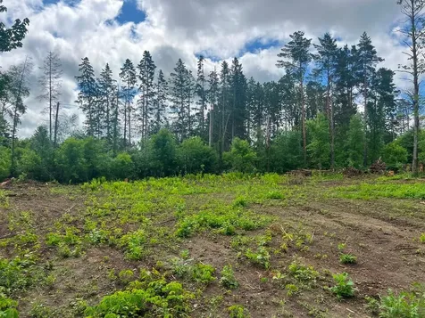 Lot 9 Blk 1 Isleview Road Grand Rapids MN 55744