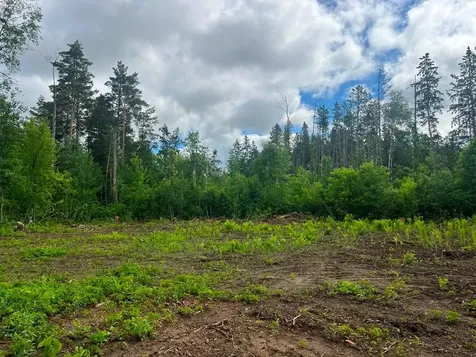 Lot 9 Blk 1 Isleview Road Grand Rapids MN 55744
