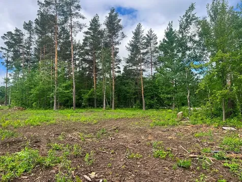 Lot 9 Blk 1 Isleview Road Grand Rapids MN 55744