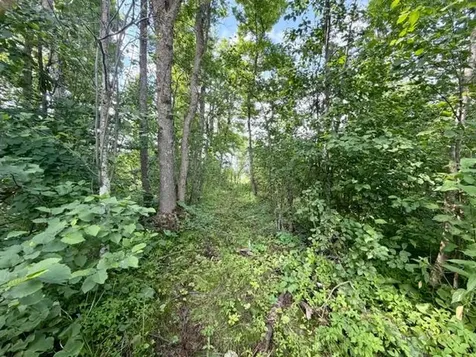 15215 Werner Road NW Bemidji MN 56601