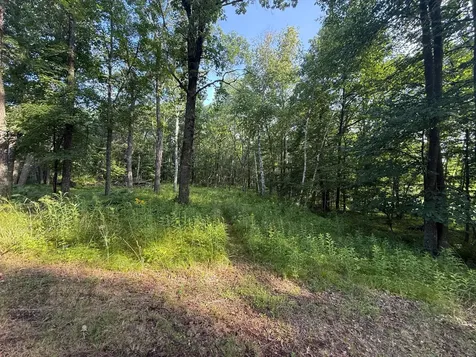 Tbd Cr-109 Merrifield MN 56465