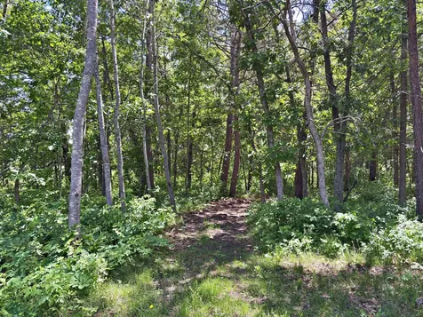 37464 129th Avenue Menahga MN 56464