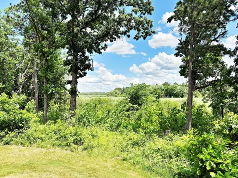 37464 129th Avenue Menahga MN 56464