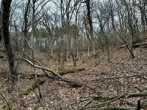 2555 Trading Post Trail S Afton MN 55001