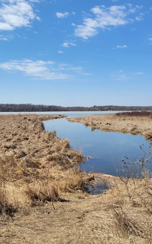 512XX Leaf River Road Tract A Ottertail MN 56571