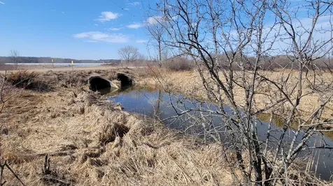 512XX Leaf River Road Tract A Ottertail MN 56571