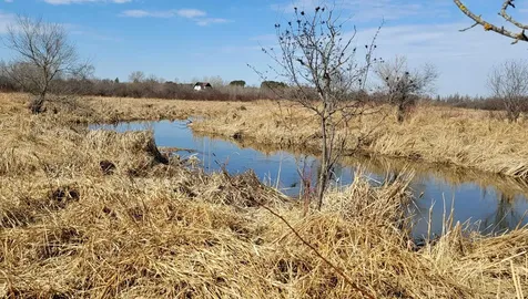 512XX Leaf River Road Tract A Ottertail MN 56571
