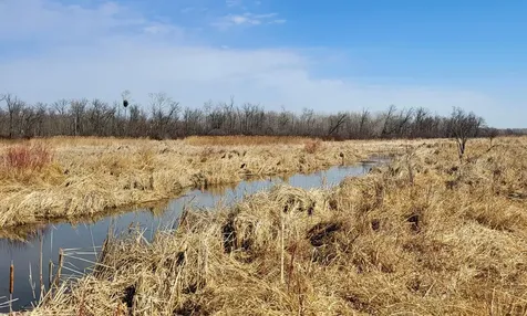512XX Leaf River Road Tract A Ottertail MN 56571