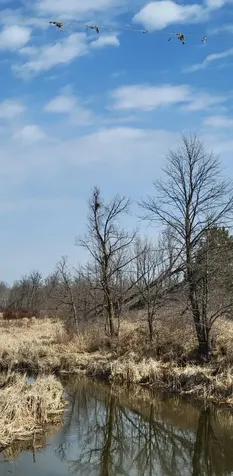 512XX Leaf River Road Tract A Ottertail MN 56571