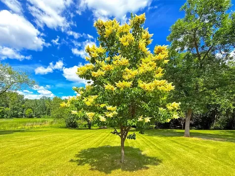 194 Elderberry Road Clearwater MN 55320