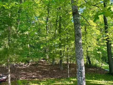 12639 Blackberry Trail Sauk Centre MN 56378