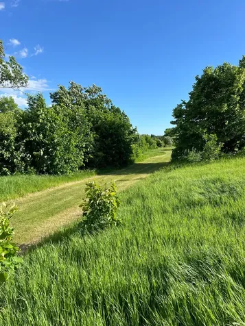 43XXX Inlet Estates Trail Ottertail MN 56571