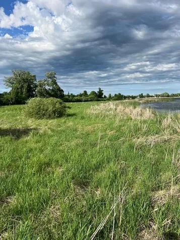 43XXX Inlet Estates Trail Ottertail MN 56571