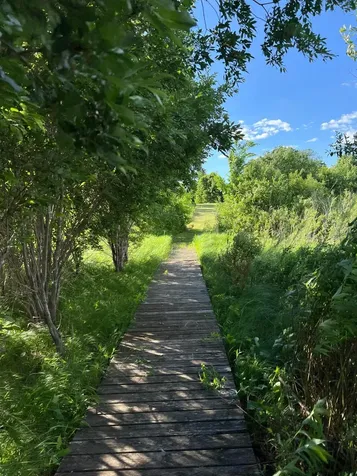 43XXX Inlet Estates Trail Ottertail MN 56571